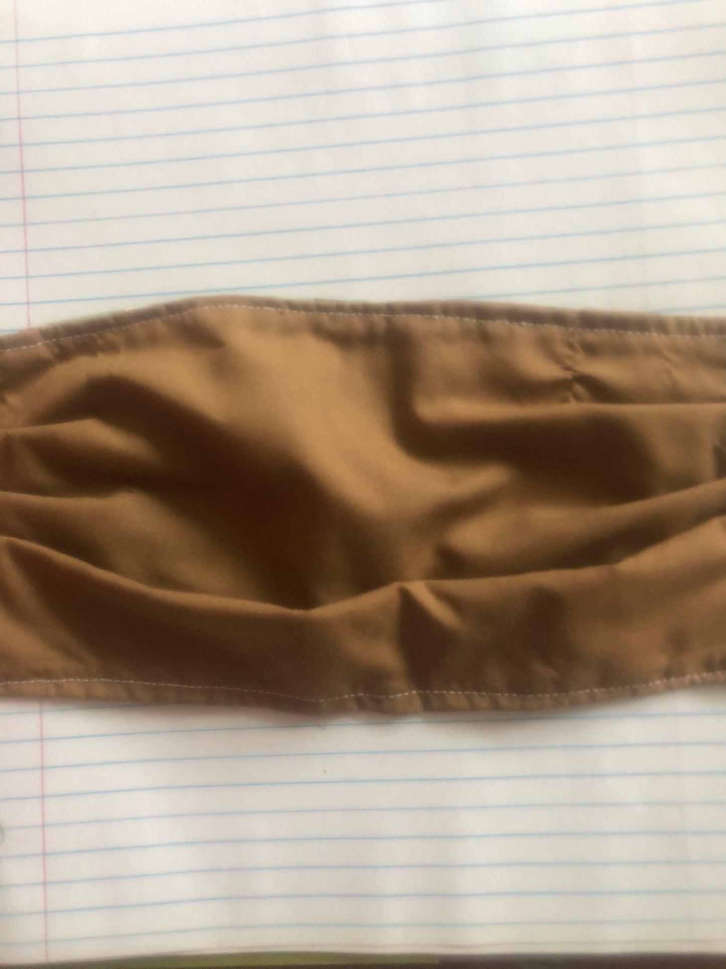 Fish and fishing lure face mask