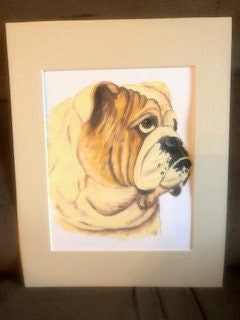 Bulldog matted print 11"14